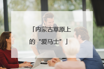 内蒙古草原上的“爱马士”