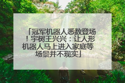 冠军机器人悉数登场！宇树王兴兴：让人形机器人马上进入家庭等场景并不现实