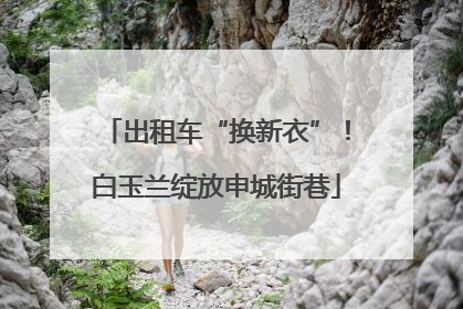 出租车“换新衣”！白玉兰绽放申城街巷
