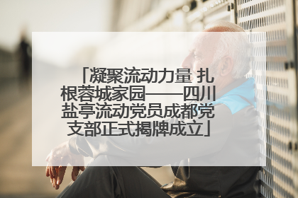 凝聚流动力量 扎根蓉城家园——四川盐亭流动党员成都党支部正式揭牌成立