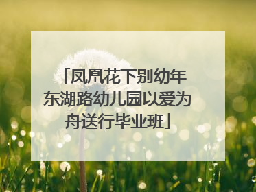 凤凰花下别幼年 东湖路幼儿园以爱为舟送行毕业班