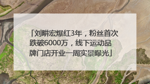 刘畊宏爆红3年，粉丝首次跌破6000万，线下运动品牌门店开业一周实景曝光