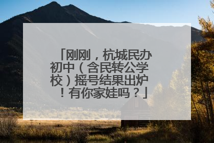 刚刚，杭城民办初中（含民转公学校）摇号结果出炉！有你家娃吗？