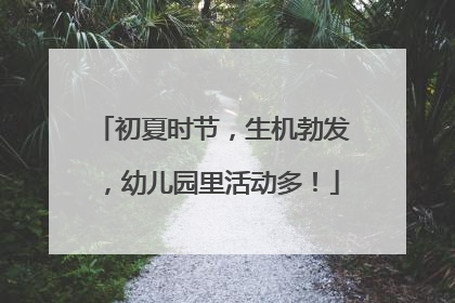 初夏时节，生机勃发，幼儿园里活动多！