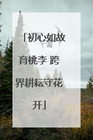 初心如故育桃李 跨界耕耘守花开