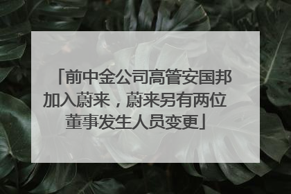 前中金公司高管安国邦加入蔚来，蔚来另有两位董事发生人员变更