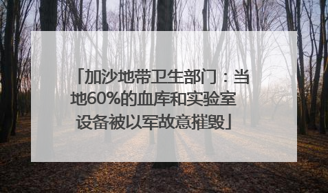 加沙地带卫生部门：当地60%的血库和实验室设备被以军故意摧毁