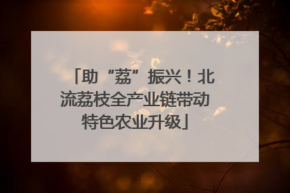 助“荔”振兴！北流荔枝全产业链带动特色农业升级