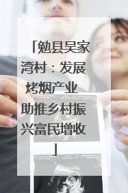 勉县吴家湾村：发展烤烟产业 助推乡村振兴富民增收