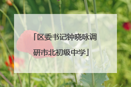 区委书记钟晓咏调研市北初级中学