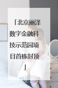 北京丽泽数字金融科技示范园项目首栋封顶