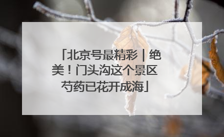 北京号最精彩｜绝美！门头沟这个景区芍药已花开成海