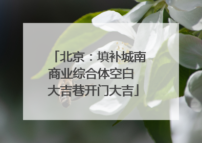 北京：填补城南商业综合体空白 大吉巷开门大吉