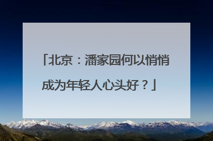 北京：潘家园何以悄悄成为年轻人心头好？