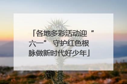各地多彩活动迎“六一” 守护红色根脉做新时代好少年
