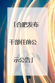 合肥发布干部任前公示公告