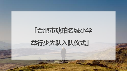合肥市琥珀名城小学举行少先队入队仪式
