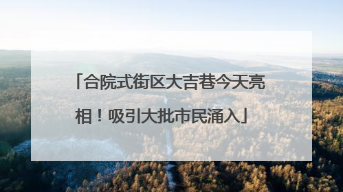 合院式街区大吉巷今天亮相！吸引大批市民涌入