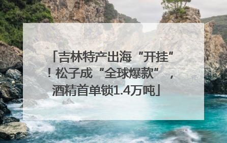 吉林特产出海“开挂”！松子成“全球爆款”，酒精首单锁1.4万吨