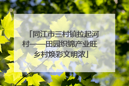 同江市三村镇拉起河村——田园织锦产业旺 乡村焕彩文明浓