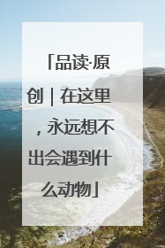 品读·原创｜在这里，永远想不出会遇到什么动物