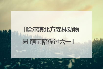 哈尔滨北方森林动物园 萌宝陪你过六一