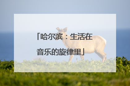 哈尔滨：生活在音乐的旋律里