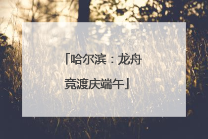 哈尔滨：龙舟竞渡庆端午