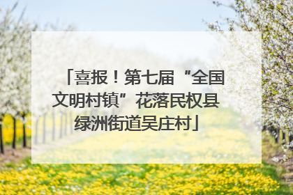 喜报！第七届“全国文明村镇”花落民权县绿洲街道吴庄村