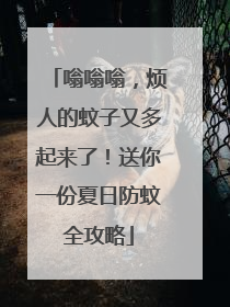 嗡嗡嗡，烦人的蚊子又多起来了！送你一份夏日防蚊全攻略