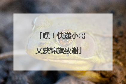 嘿！快递小哥又获锦旗致谢