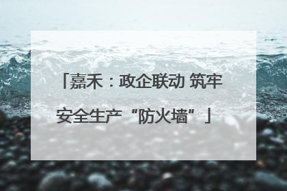 嘉禾：政企联动 筑牢安全生产“防火墙”