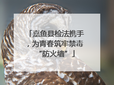 嘉鱼县检法携手，为青春筑牢禁毒“防火墙”