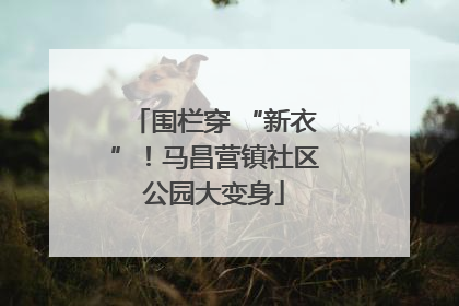 围栏穿 “新衣”！马昌营镇社区公园大变身