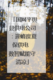 国网平舆县供电公司：迎峰度夏保供电  数智赋能守清凉