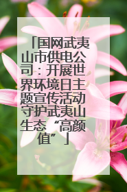 国网武夷山市供电公司：开展世界环境日主题宣传活动守护武夷山生态“高颜值”
