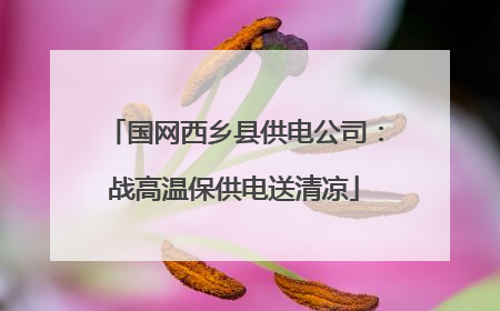 国网西乡县供电公司：战高温保供电送清凉