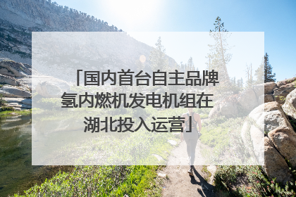 国内首台自主品牌氢内燃机发电机组在湖北投入运营