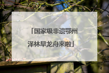 国家级非遗鄂州泽林旱龙舟来啦