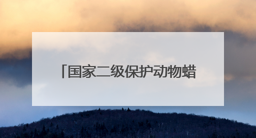 国家二级保护动物蜡皮蜥再现广西野外