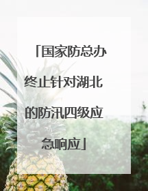 国家防总办终止针对湖北的防汛四级应急响应