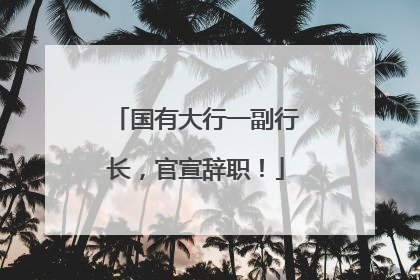 国有大行一副行长，官宣辞职！