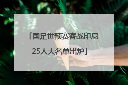 国足世预赛客战印尼25人大名单出炉
