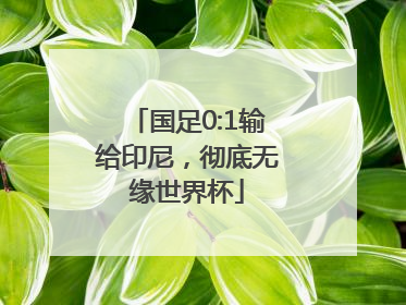 国足0:1输给印尼，彻底无缘世界杯