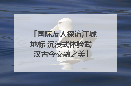 国际友人探访江城地标 沉浸式体验武汉古今交融之美