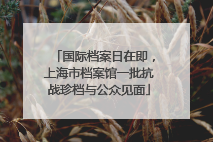 国际档案日在即，上海市档案馆一批抗战珍档与公众见面