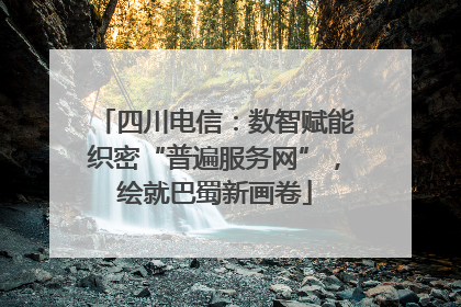 四川电信：数智赋能织密“普遍服务网”，绘就巴蜀新画卷