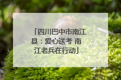 四川巴中市南江县：爱心送考 南江老兵在行动