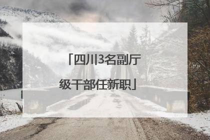 四川3名副厅级干部任新职