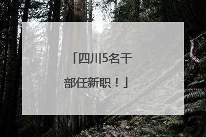 四川5名干部任新职！